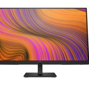 HP 24” HD Display