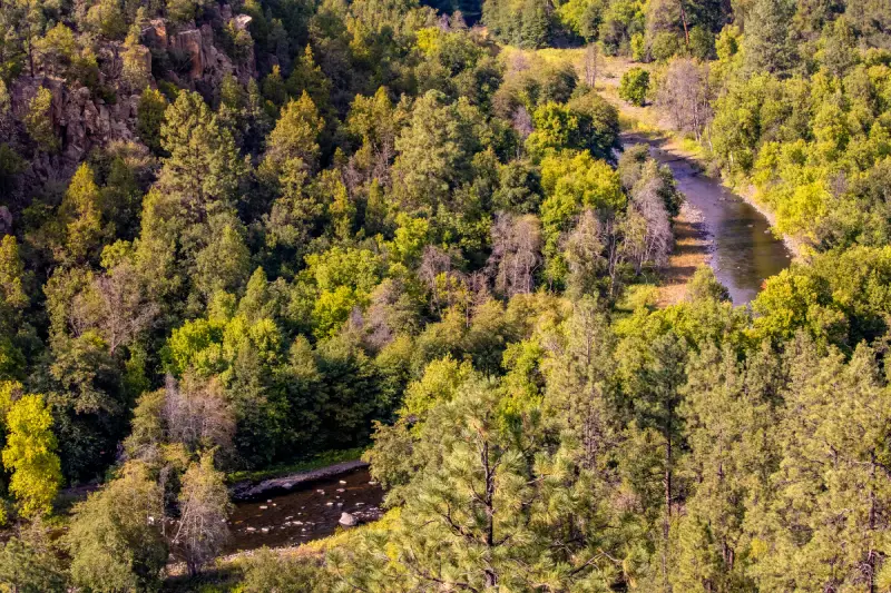 San Carlos Apache Tribe Administration Scenic Forest Landscape